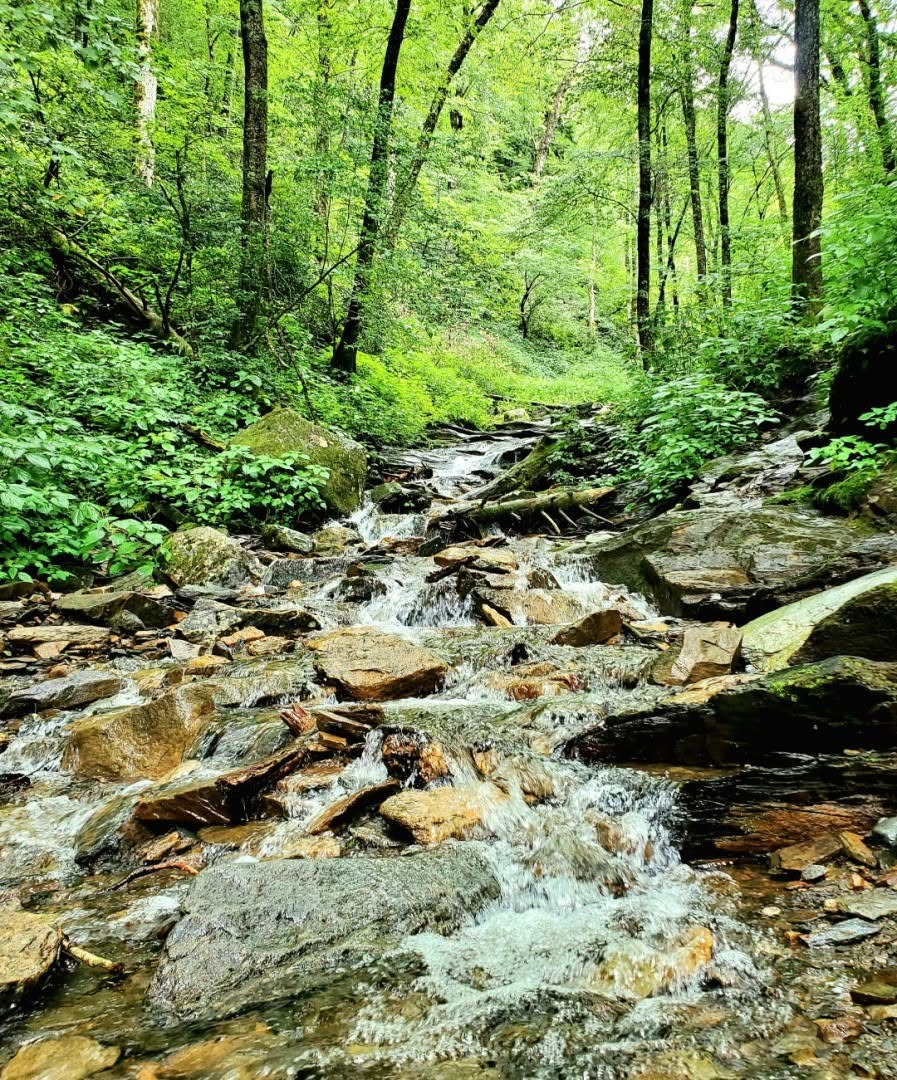 Smoky Mountain landscape